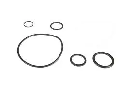 6249019M91 - SEAL KIT