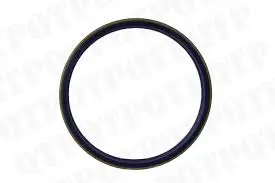 [Lip Seal Ring] 4298406M2 - LIP SEAL RING